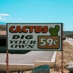 Cactus Mart