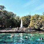 Captain Cook