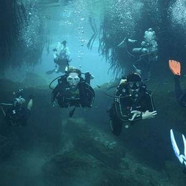 Scuba On Our Honeymoon