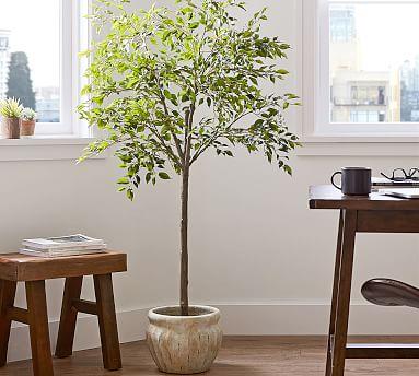 Faux Potted Triangular Ficus