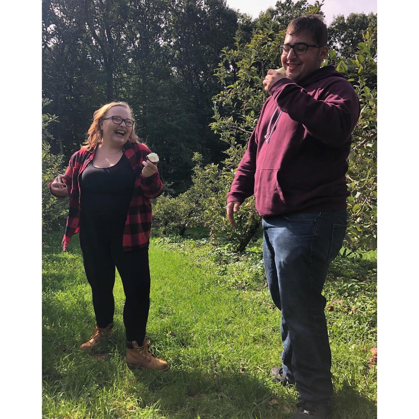 Apple picking 2018