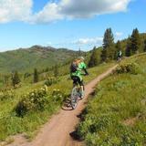 Wasatch Crest Trail