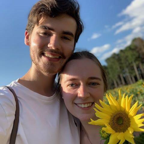 Sunflower patch in 2020