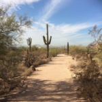 Gateway Loop Trail