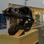 Delaware Museum of Natural History