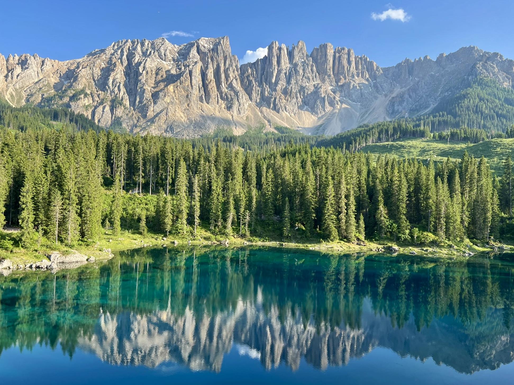 The Wedding Website of Andrew Barton and Kayla Wilkes