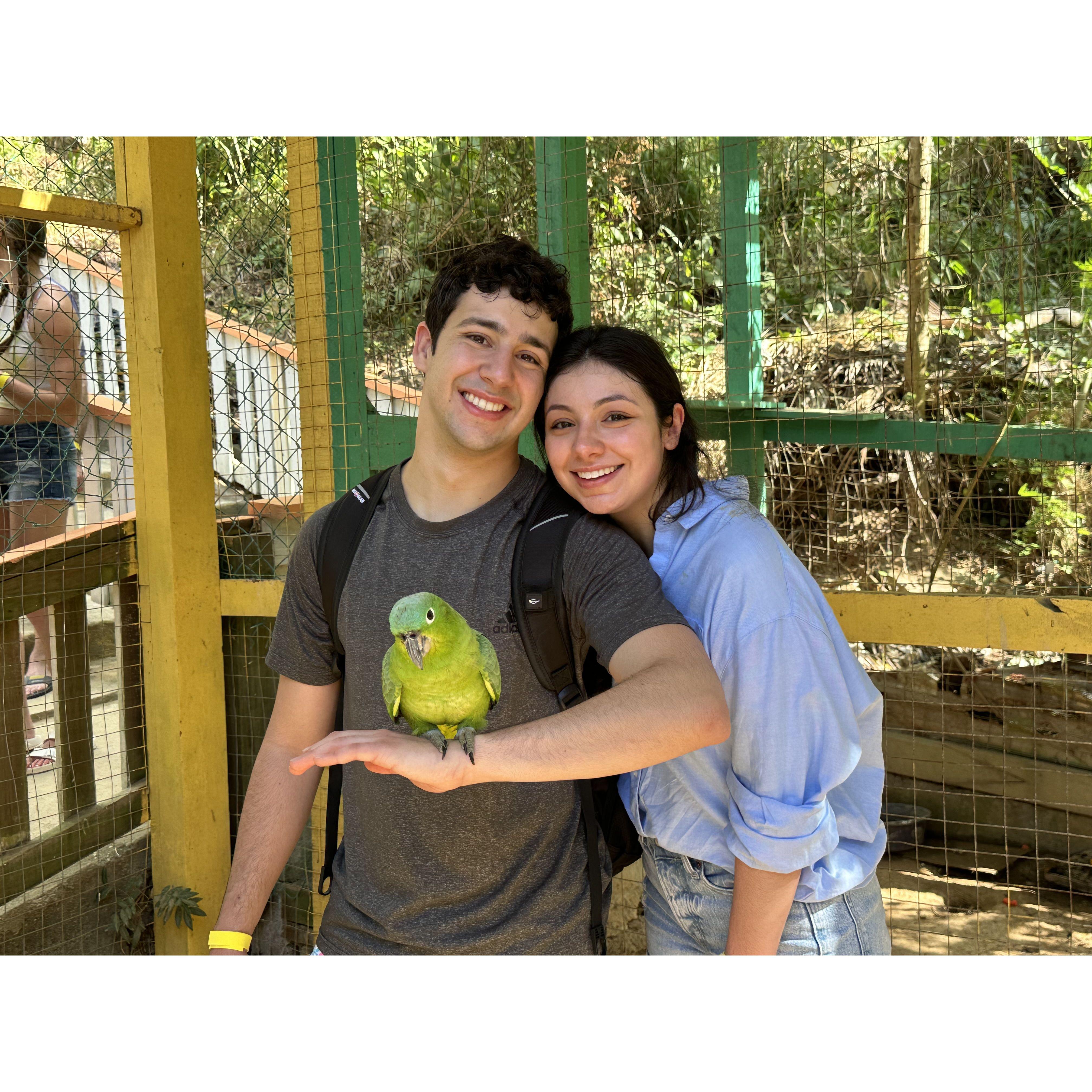Visiting Animal Sanctuary in Roatan, Honduras