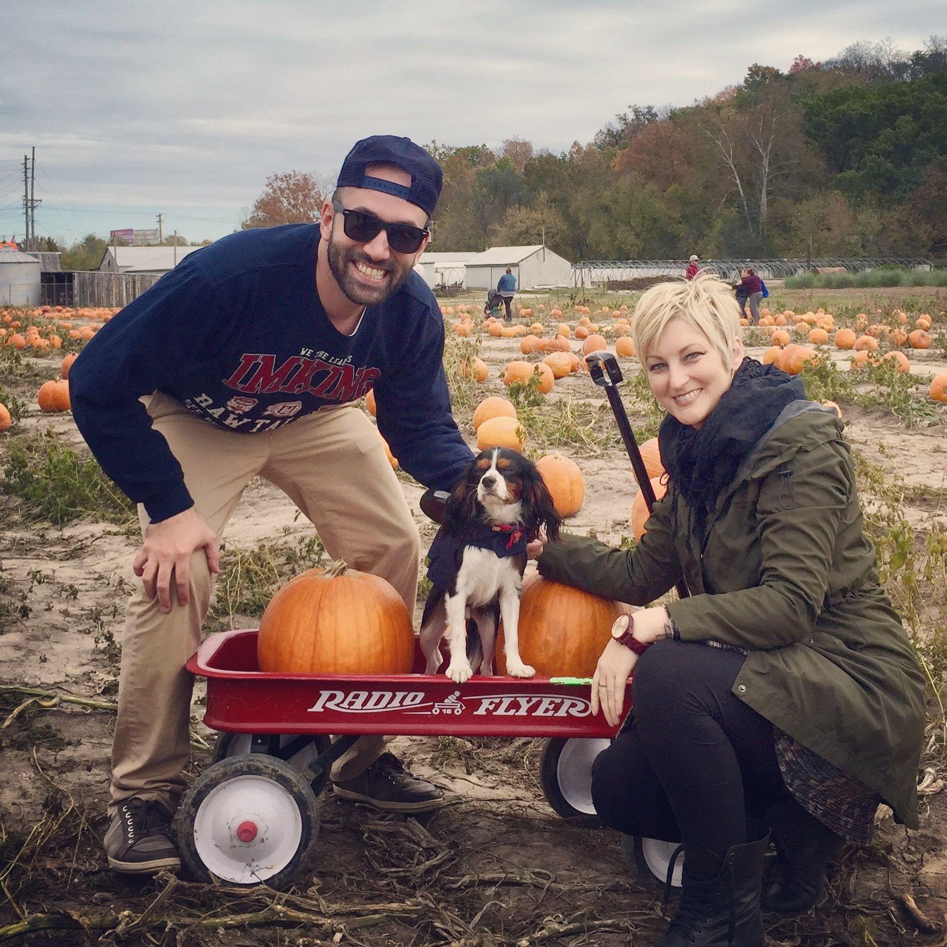 Halloween 2017 with our little man!