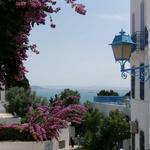 Banlieue Nord  (Carthage, Sidi Bou Said, La Marsa)