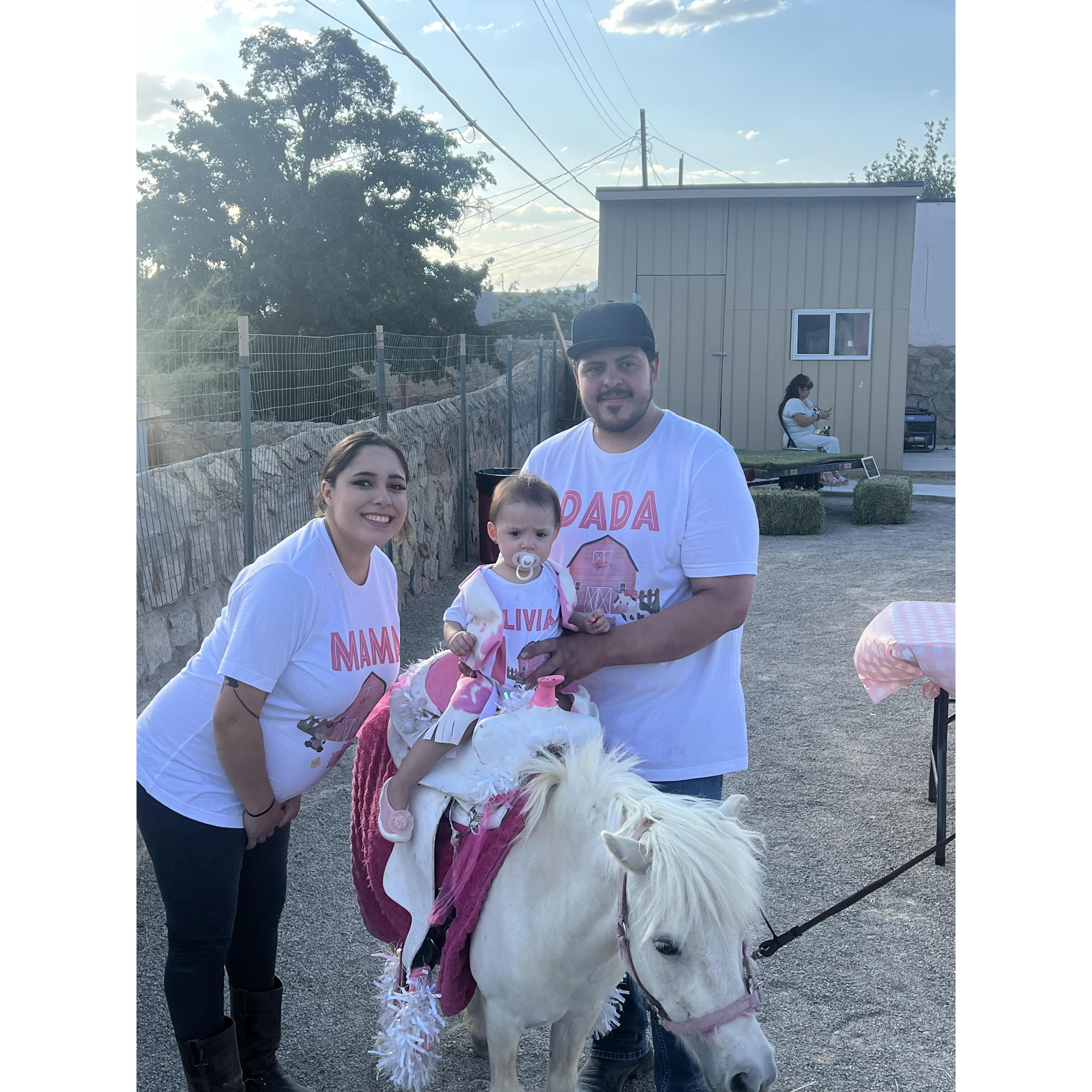 Our daughter Olivia's first birthday party, time really does fly!