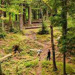 Sugarbush Resort - Disc Golf