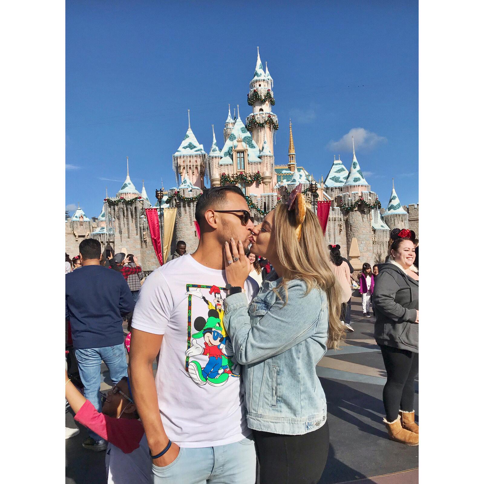 Fairytale Engagement