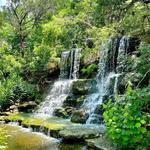 Zilker Botanical Garden