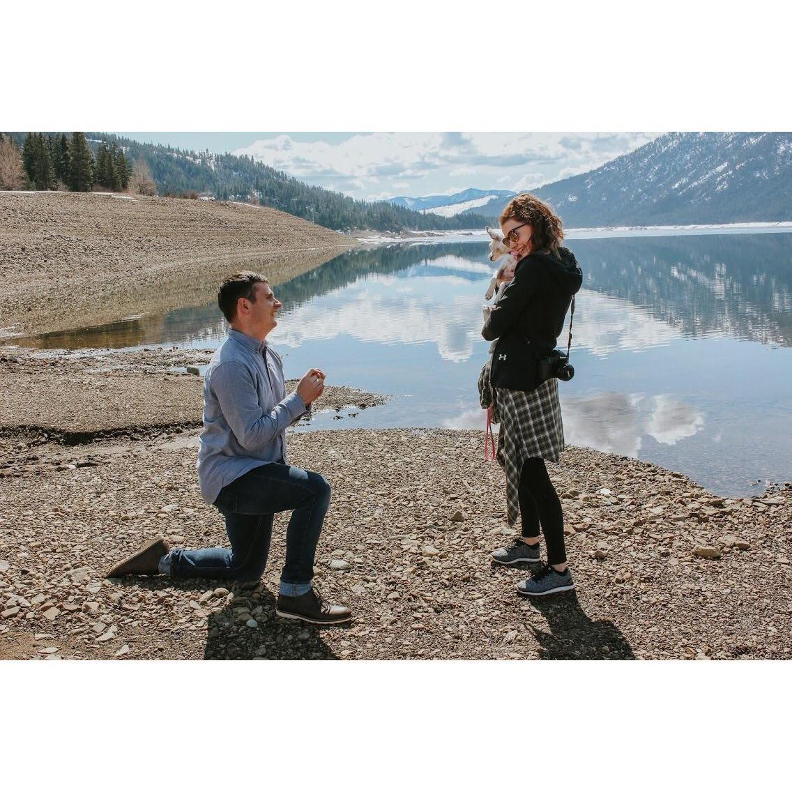 The proposal! Of course Pickle was part of the special moment <3
