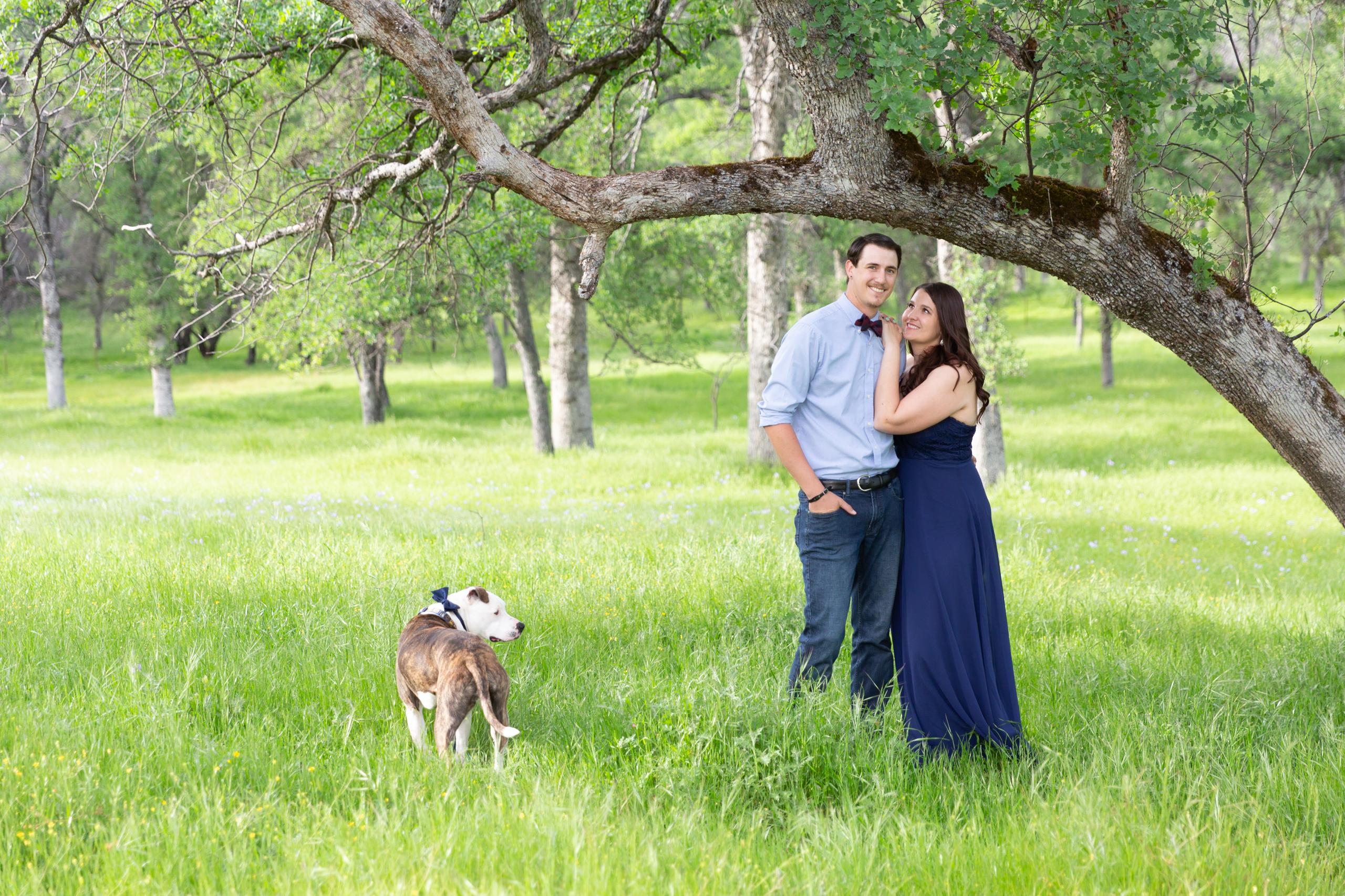 The Wedding Website of Stacy Hamby and Ethan Wright