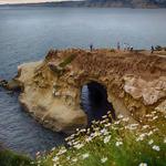 Sunny Jim's Sea Cave