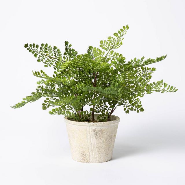 13" x 13" Artificial Fern Plant in Wood Pot - Threshold™ designed with Studio McGee