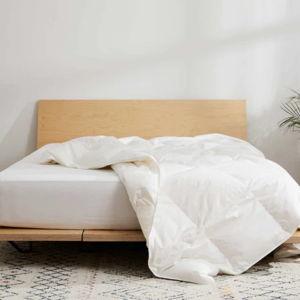 Down Comforter