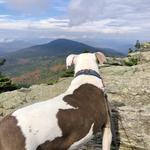 Killington Ski Area