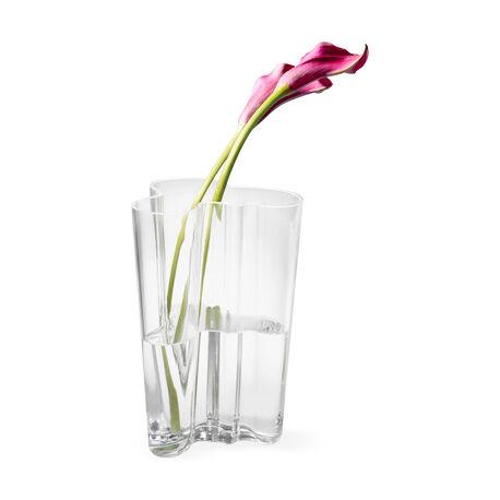 Finlandia Vase