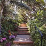 San Diego Botanic Garden