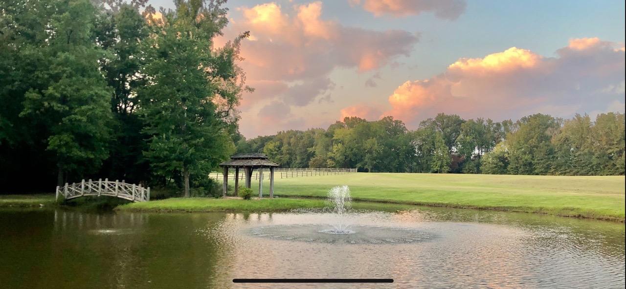 The Wedding Website of Melissa Matthews and Kyle Henecke