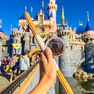 Disney Churro Fund