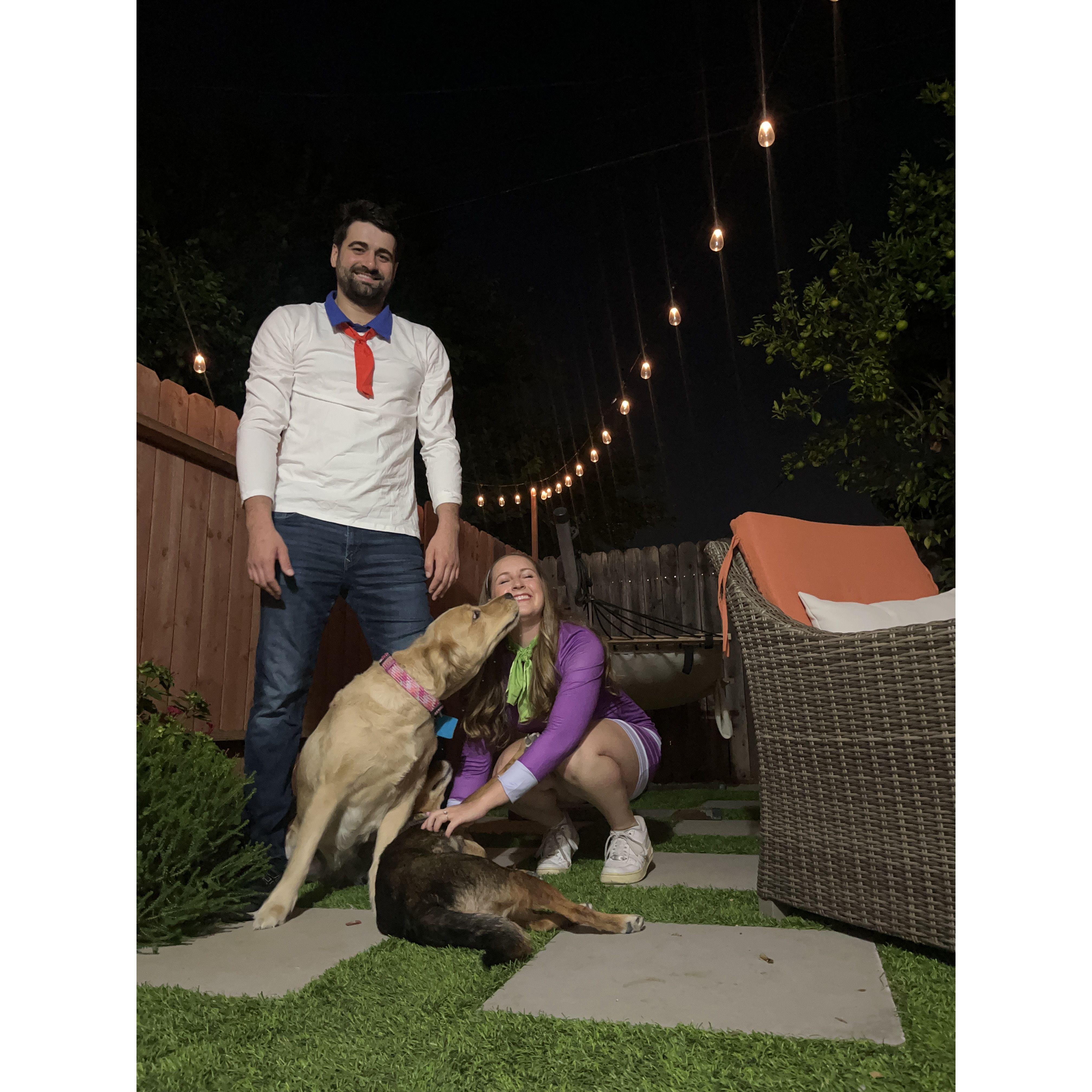Halloween 2023, right after we got Lucy!
