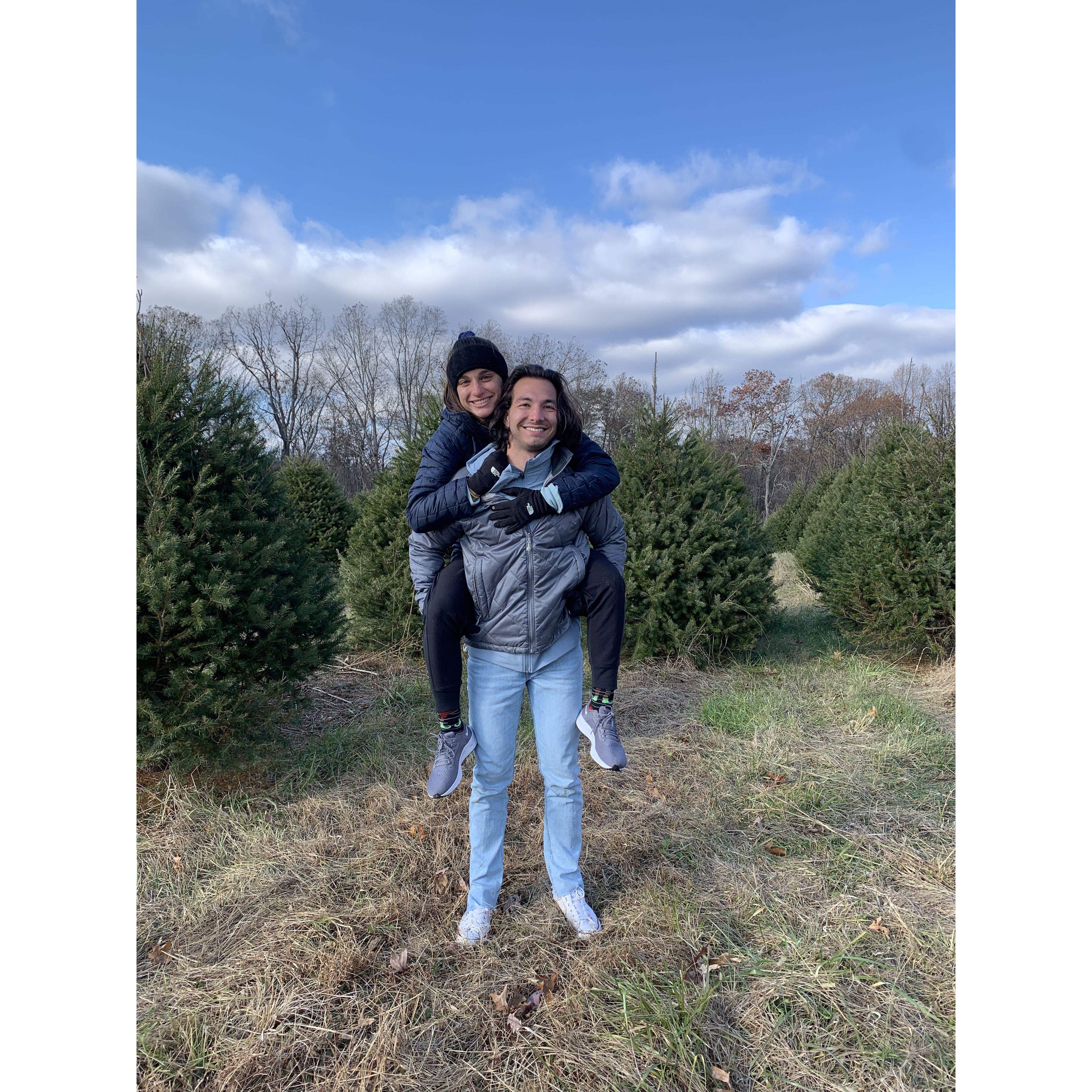 Christmas tree cutting in Maryland. Winter 2021