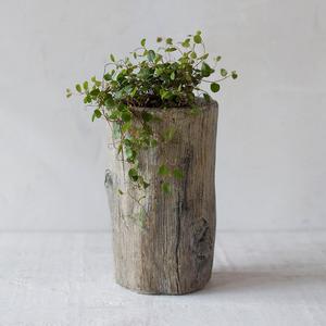 Terracotta Log Pot, Tall