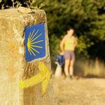 The St.James Way / El Camino de Santiago