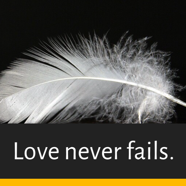 The Wedding Website of Billie Tucker and Angelo Volpe