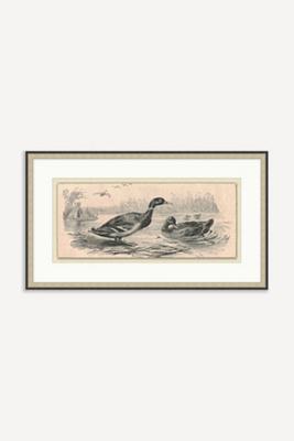 Neutral Quack Wall Art
