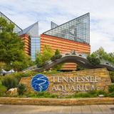 Tennessee Aquarium