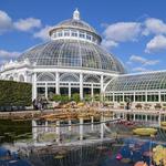 New York Botanical Garden