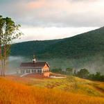 The Cottage Vineyard & Winery