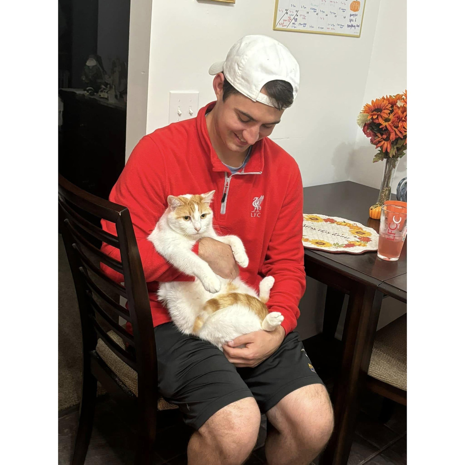 Adapting to being a cat dad
