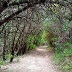 Barton Creek Greenbelt