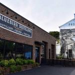 Bluebird Distilling