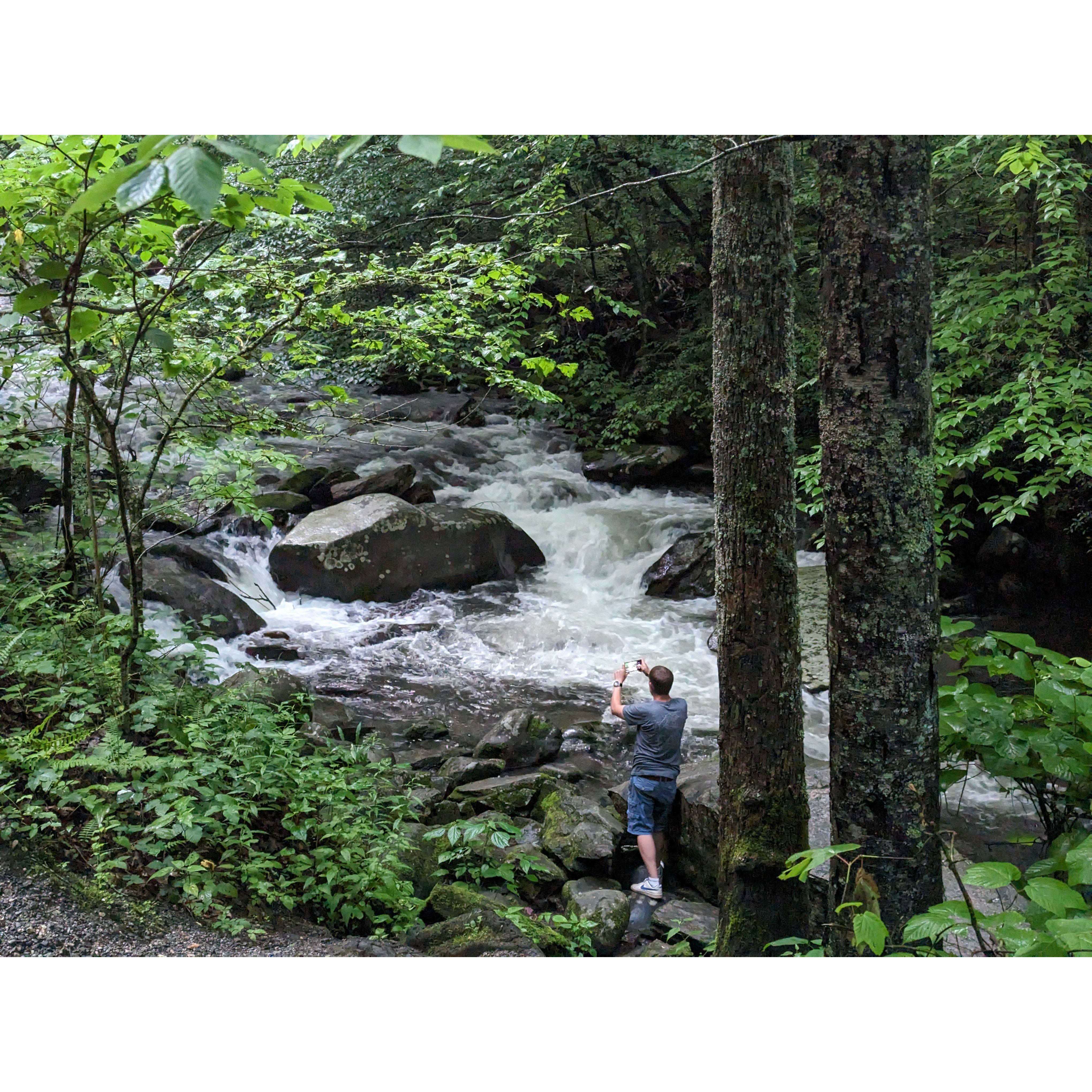 Great Smoky Mountains National Park