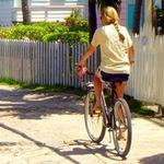 The Bike Shop