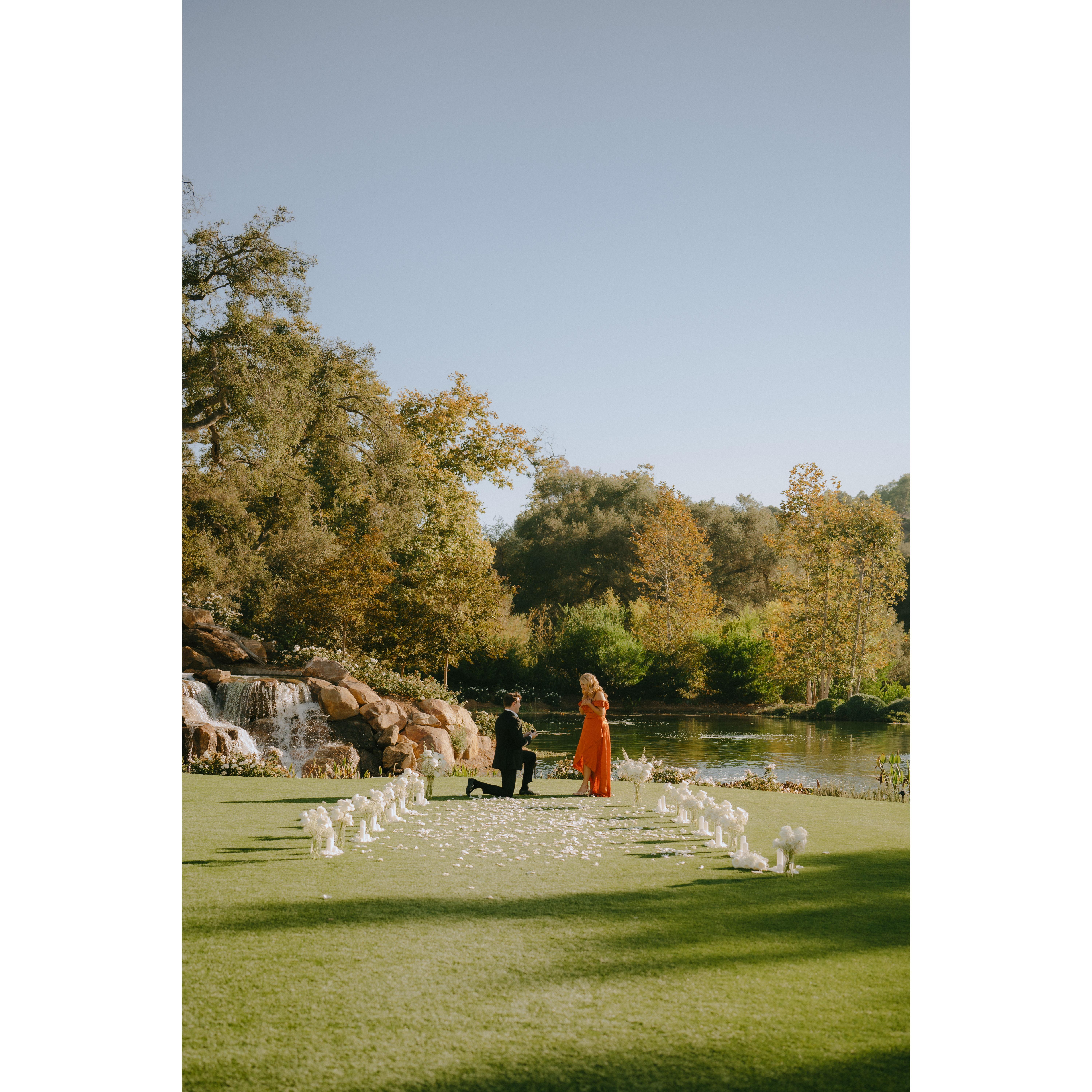 The Proposal-Gavin surprised me at my favorite winery! I was told my sister and I were going up as extras for our friend's styled photoshoot and he had this dress that he had picked out ready!!!