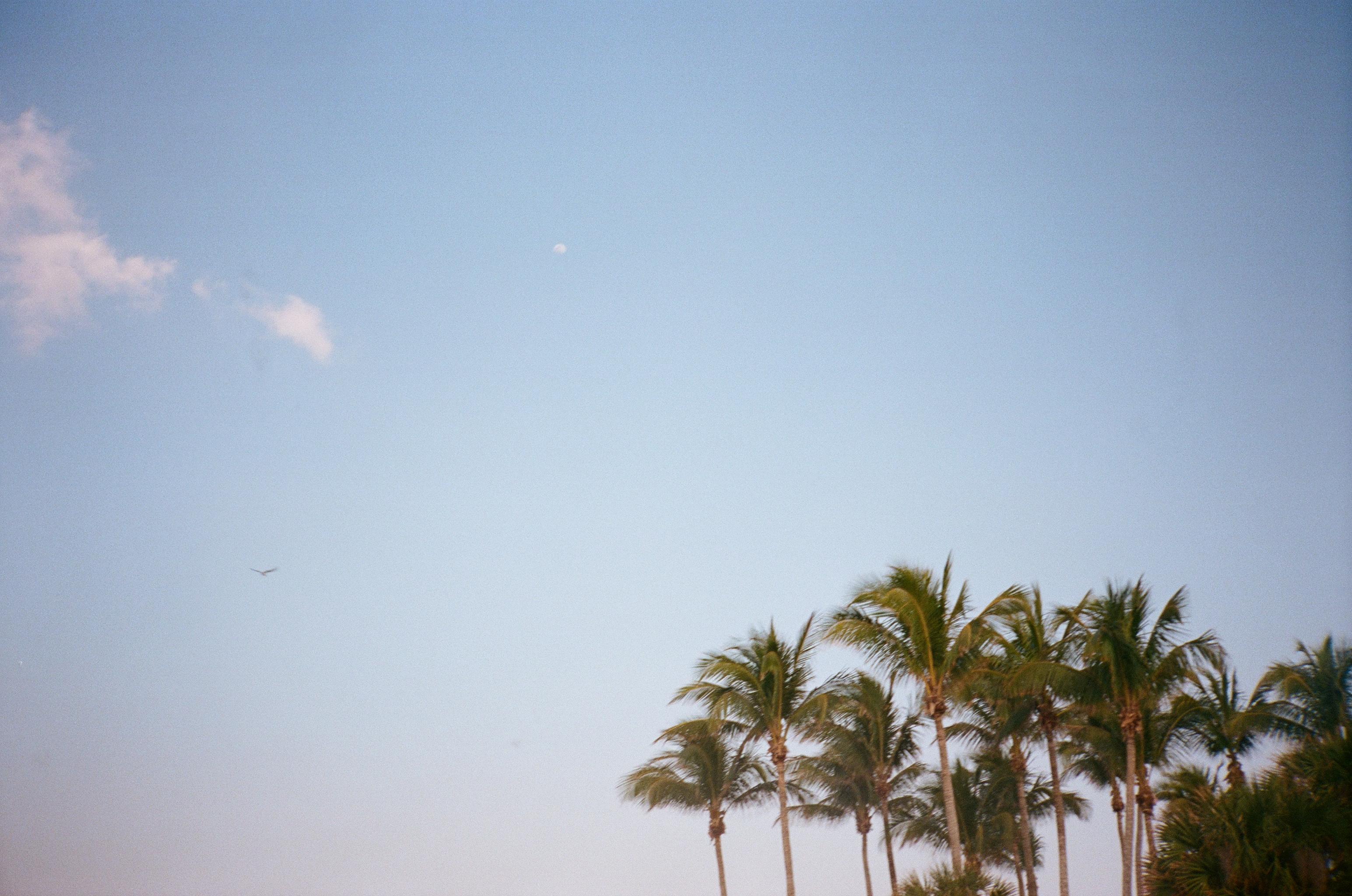 The Wedding Website of Shawn Lambert Garcia and Angela Bauers