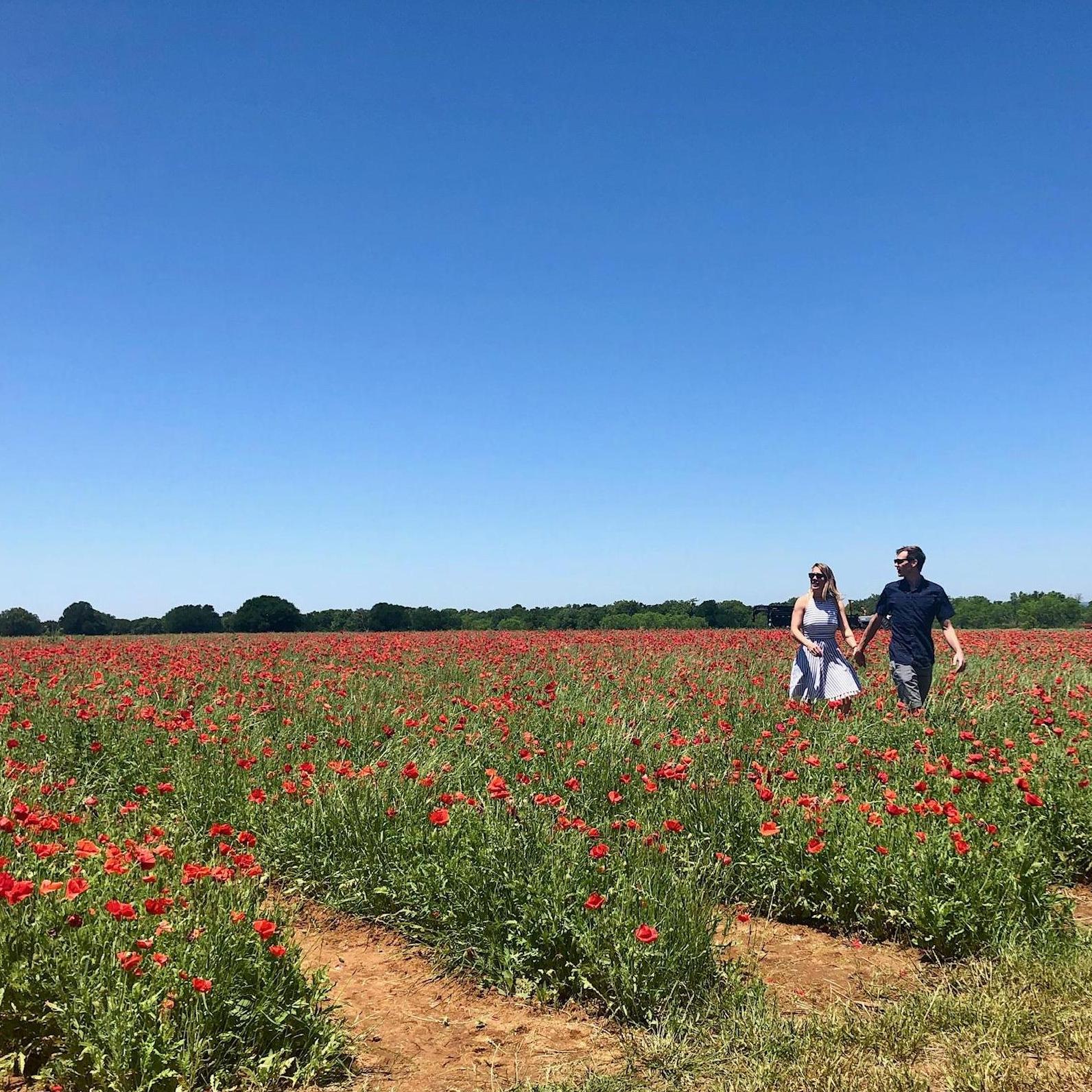 Exploring Texas Hill Country