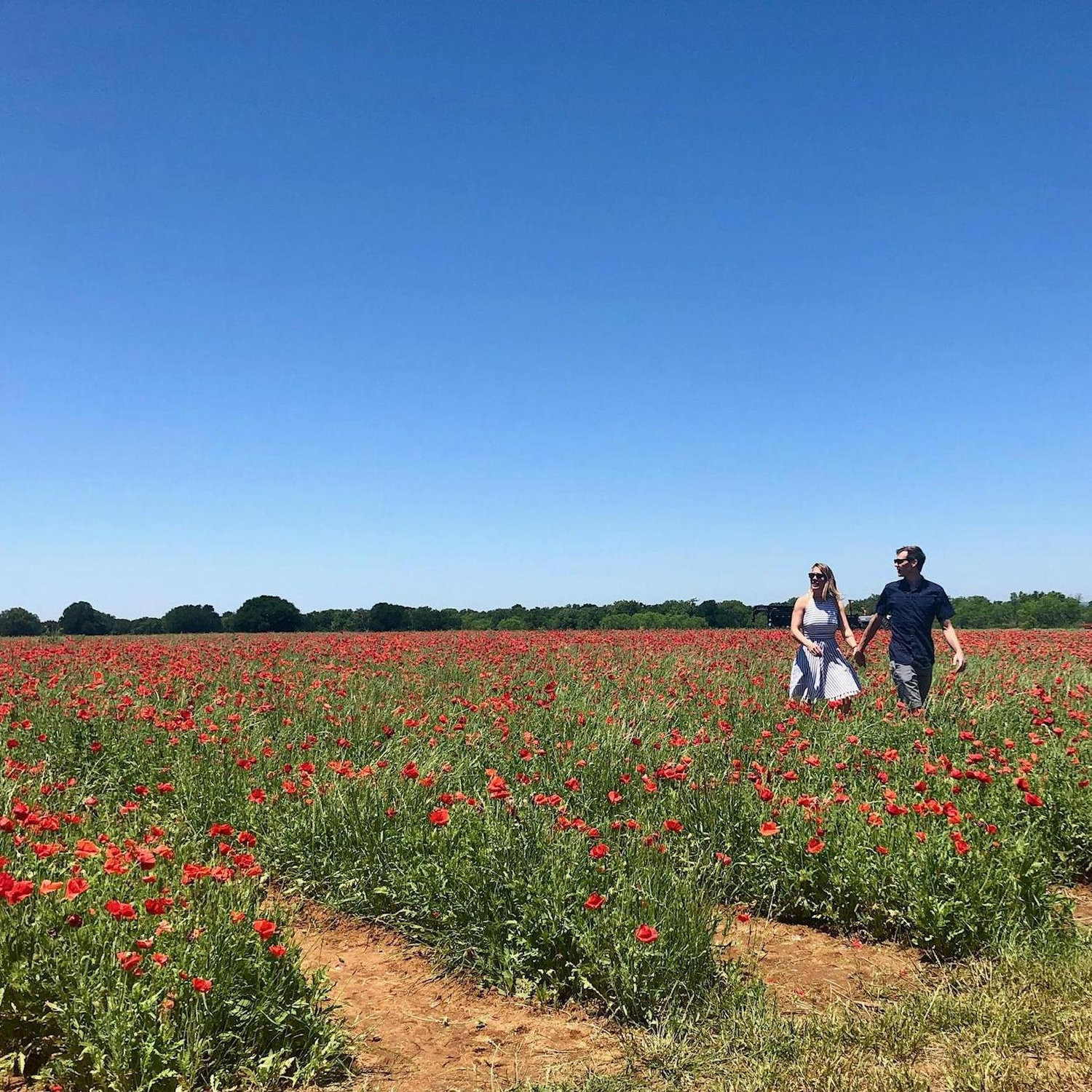 Exploring Texas Hill Country