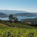 Wine Tasting with Dali in Emporda