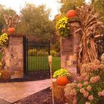 Clary Gardens