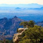 Mount Lemmon