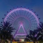 The Wheel at ICON Park™