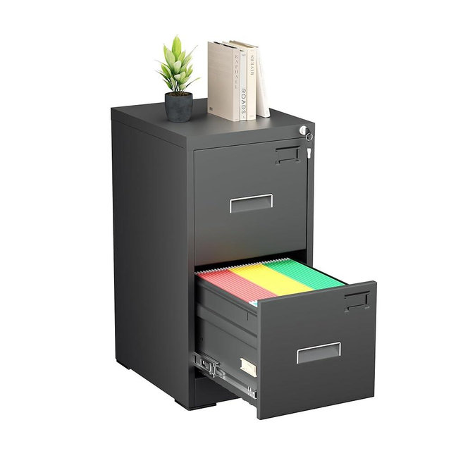 Greenvelly 18" D Vertical File Cabinet, 2 Drawer Locking Cabinet for Home Office, Black Metal for Hanging Letter/Legal Folders, Easy Assemble